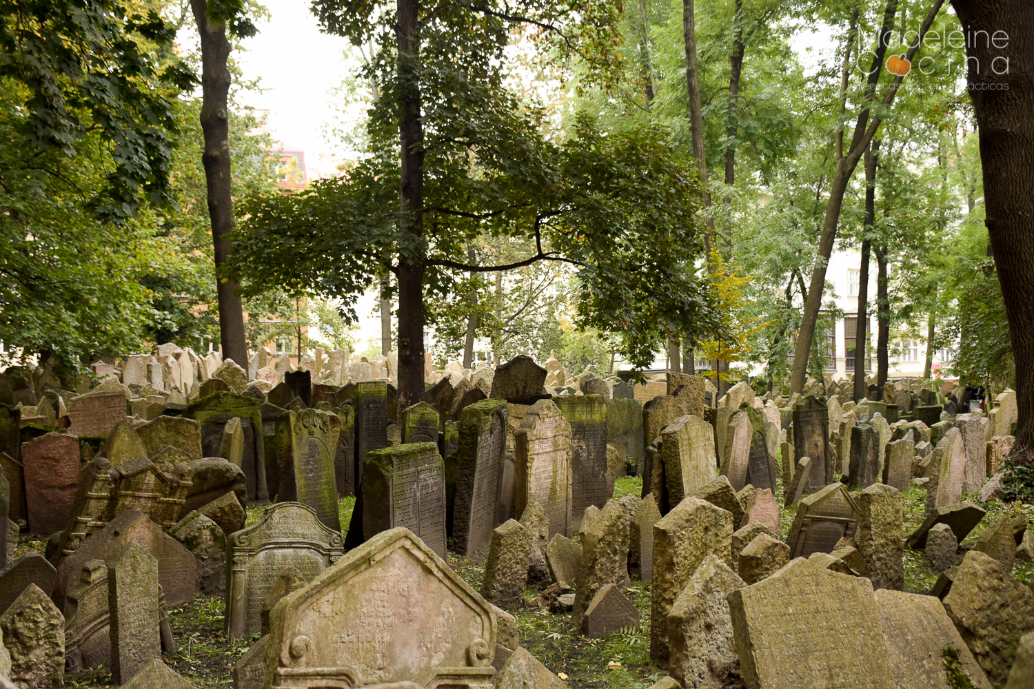 cementerio-judio