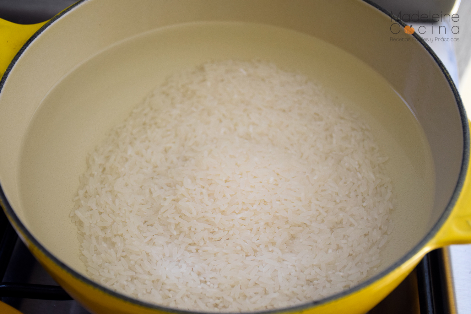 arroz-en-agua